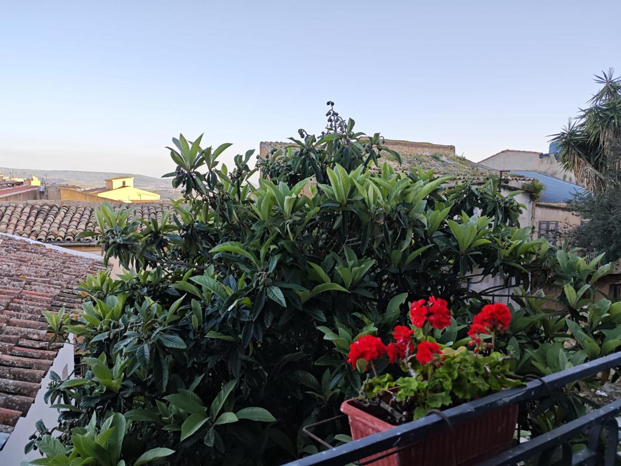 Villa Amoroso - Ospitalita Mediterranea Agrigento Exteriör bild